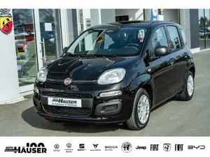 Fiat New Panda ICON Hybrid 1.0 GSE TEMPOMAT PDC LANE KLIMA 5-SITZ