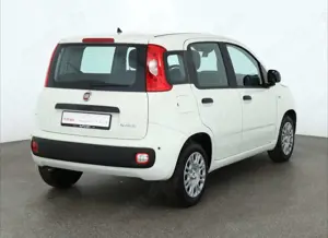 Fiat New Panda Bild 5