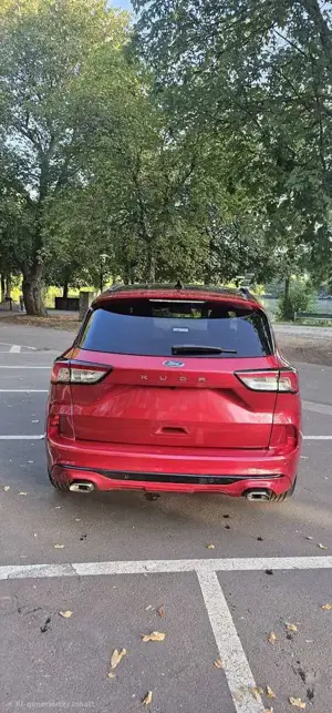 Ford Kuga Bild 3