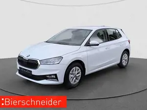 Skoda Fabia 1.0 TSI DSG Selection LED RFK PDC