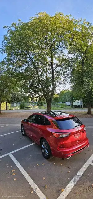 Ford Kuga Bild 5