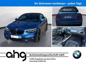 BMW 220 i Cabrio M Sport Navi Klima PDC Kamera Harman