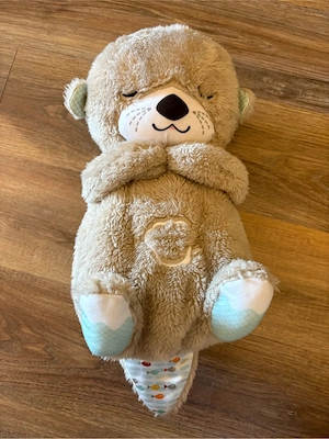Otter Einschlafhilfe