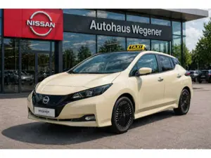 Nissan Leaf *TAXI* N-Connecta RW-385km- LED Navi SHZ 36