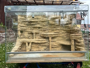 Großes Glasterrarium mit Rückwand