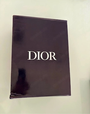 Dior B22  