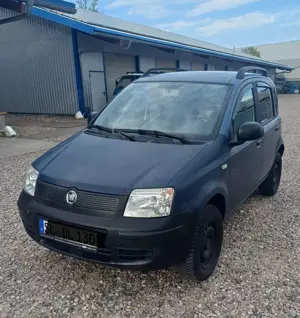 Fiat Panda 1.2 4x4 van