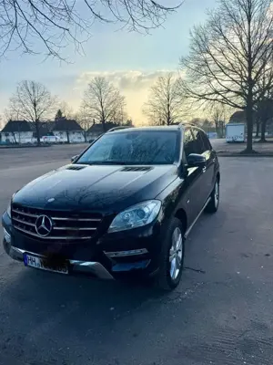 Mercedes-Benz ML 250 BlueTEC 4MATIC 7G-TRONIC Bild 2
