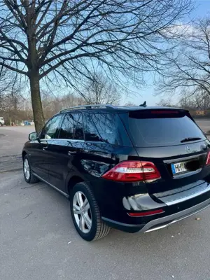 Mercedes-Benz ML 250 BlueTEC 4MATIC 7G-TRONIC Bild 4