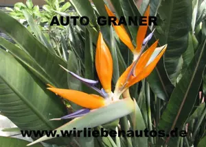 Hyundai TUCSON Bild 3