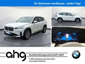 BMW iX1 xDrive30 Navi Klima PDC Kamera DAB Adaptives