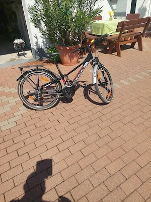 Kinderfahrrad 24 Zoll Scool Trox 8 Gang Shimano Tourney Kettenschaltung