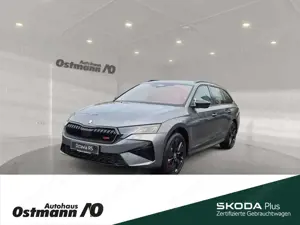 Skoda Octavia Combi RS 195kw TSI DSG *360°Kamera*Panormadach*Nav