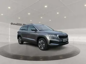 Skoda Karoq Bild 5