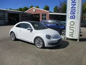 Volkswagen Beetle Design BMT