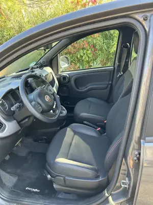 Fiat Panda Bild 5