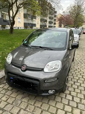 Fiat Panda Bild 3