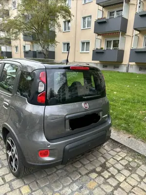 Fiat Panda Bild 2