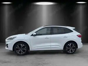 Ford Kuga Bild 2