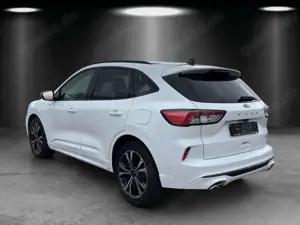 Ford Kuga Bild 3