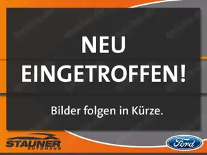 Ford Ranger DOKA Platinum 3.0l EcoBlue LED, AHK, RFK
