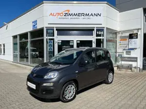 Fiat Panda Easy | ABS | Radio | el FH | ZV