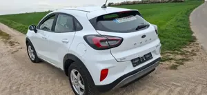 Ford Puma Bild 3