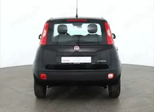 Fiat New Panda Bild 4