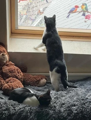 lieb und süß : Freddy im Rheingau Bild 4