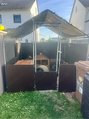 Hasen mit Hasenstall Haus abzugeben + Zubehör