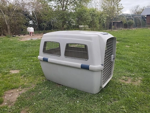Hundetransportbox XXL