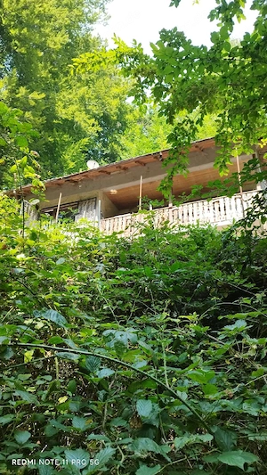 Haus kreis süw,  natur pur! ein Kleinod, einmalig! 