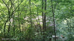 Haus mitten im Wald, süw, Wohnsitz, Natur pur, 3 Zimmer, Küche, Bad, Terrasse und Balkon, 2000m2 