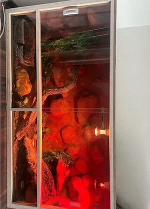 verkaufe mein Terrarium mit meinen 3 Leopardengecko Giants