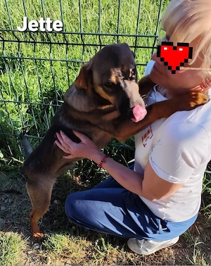 Jette ist ein Juwel und zuckersüß *in einer Pflegestelle* Bild 5