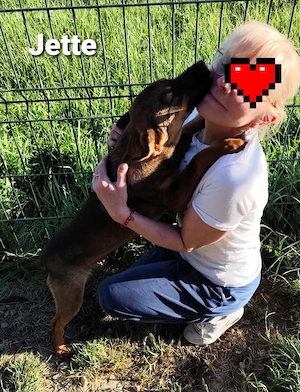 Jette ist ein Juwel und zuckersüß *in einer Pflegestelle* Bild 2