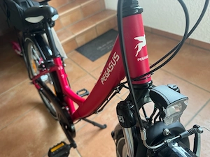 Kinder Fahrrad Pegasus 24 zoll Pink 