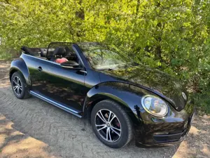 Volkswagen Beetle Bild 5