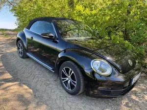 Volkswagen Beetle Bild 3