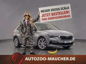 Skoda Scala Selection 1.0TSI DSG PDC/SHZ/4J.Ga