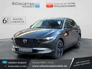 Mazda CX-30 Nagisa 2,5l Automatik Teil-Leder/Navi/BOSE