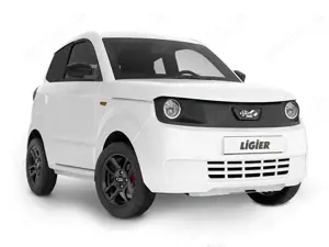 Ligier Myli MAX Elektro 11kWH  159km Reichweite