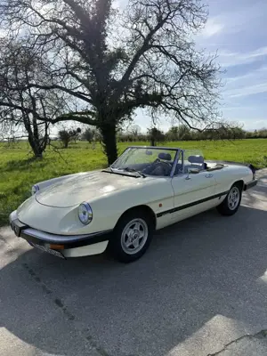 Alfa Romeo Spider