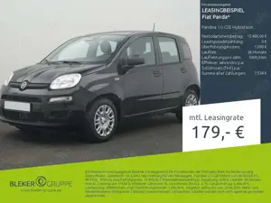 Fiat Panda Pandina 1.0 GSE Hybrid Icon