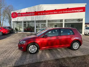Volkswagen Golf Golf 7 1.2 TSI DSG Comf Behindertenumbau+Ladehilfe