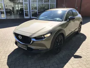 Mazda CX-30 Homura 2.5L Automatik 140ps *ACC/KAMERA/SHZ/ACAA*
