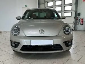 Volkswagen Beetle 1.4 TSI DSG Cup R-Line SHZ XENON NAVI Bild 3