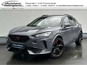 CUPRA Formentor 2.0 TSI DSG 4Drive VZ ACC DCC Navi PDC Kamera 19Al