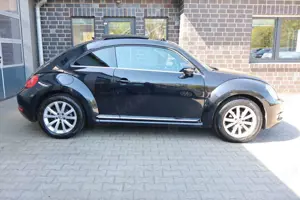 Volkswagen Beetle Bild 2