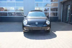 Volkswagen Beetle Bild 3